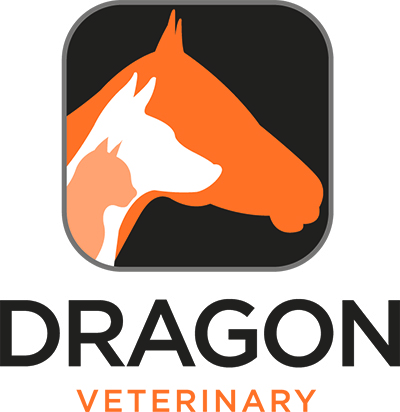 Dragon Veterinary