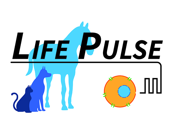 LifePulse Logo