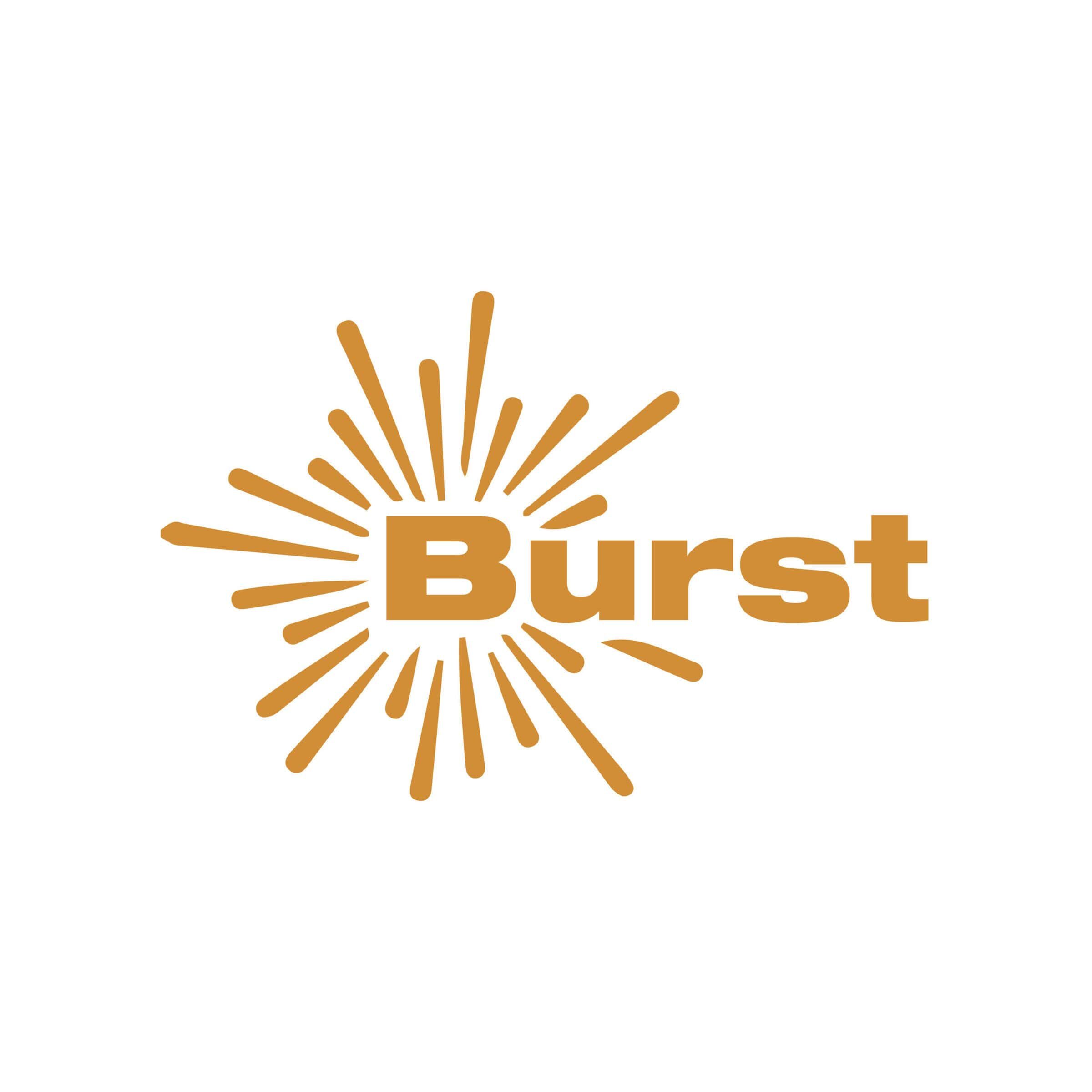 AAEP Burst logo