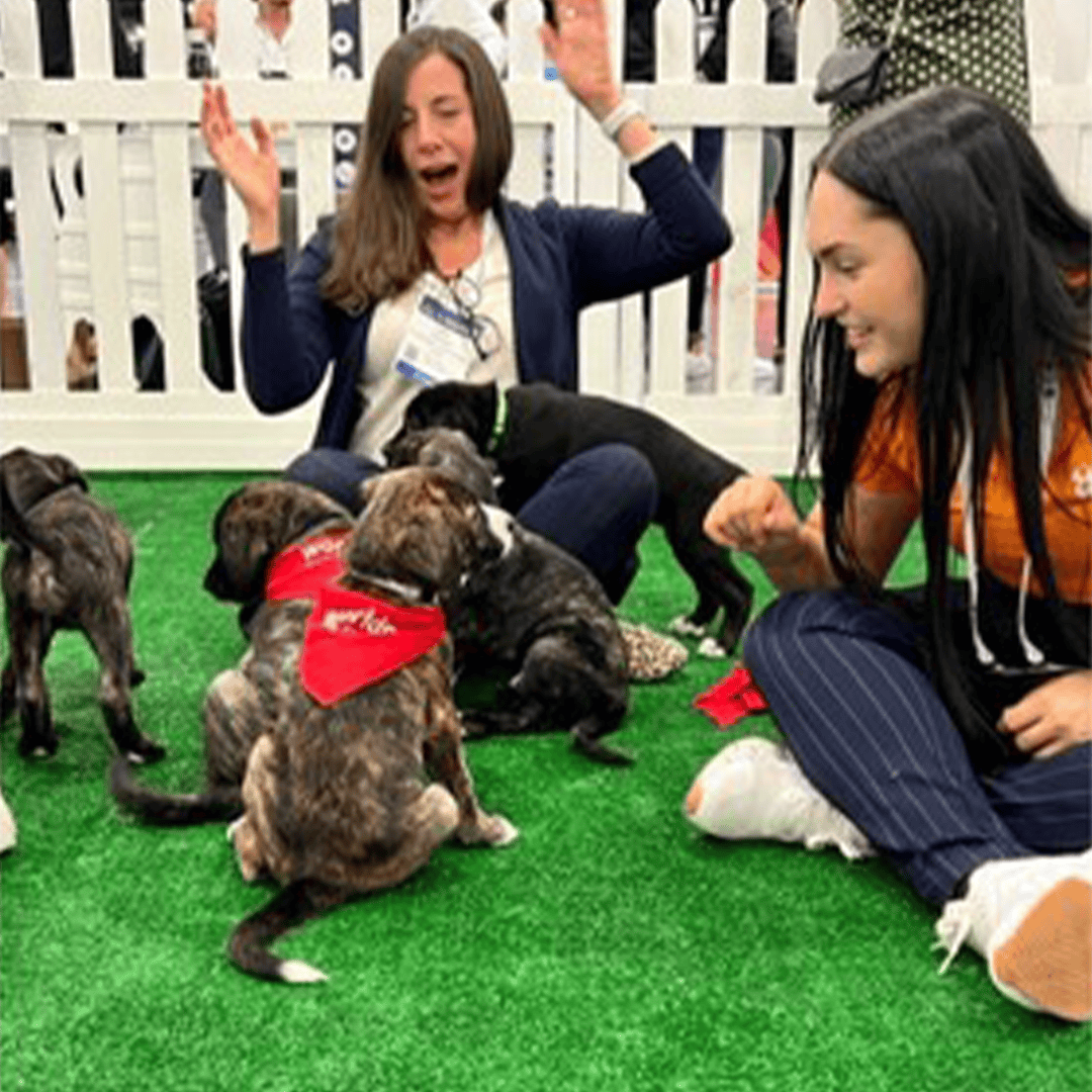 happytails